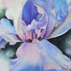 Meet your Posher, Dian